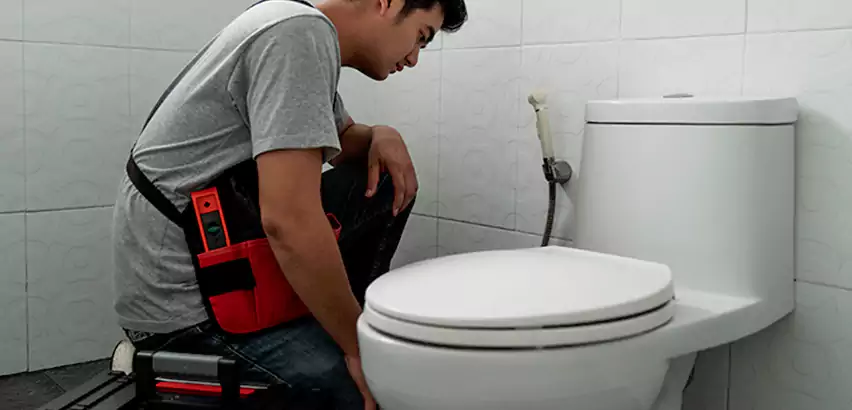 Toilet Repair in Brownsburg