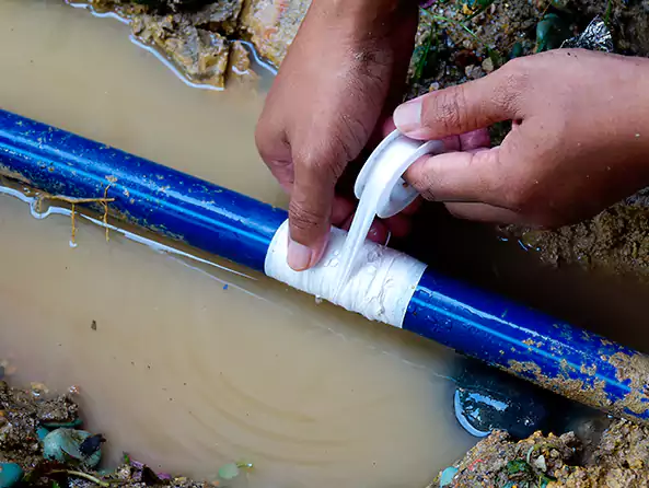  Why Choose Brownsburg Plumbers for Leak Detection in Brownsburg, IN?]